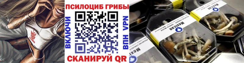 где купить   Гаврилов Посад  Галлюциногенные грибы Psilocybine cubensis 